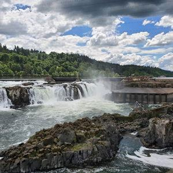 Willamette Falls Trust Donation