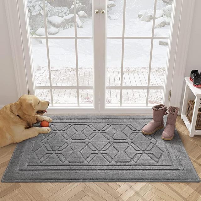Color G Indoor Door Mat Indoor Mats for Front Door Entry, 20"x32" Entryway Rug Door Mat Indoor Entrance, Non Slip Absorbent Front Door Mat, Washable Low-Profile Entry Rug for Inside House, Light Grey