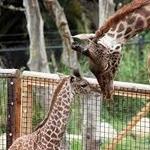 Santa Barbara Zoo