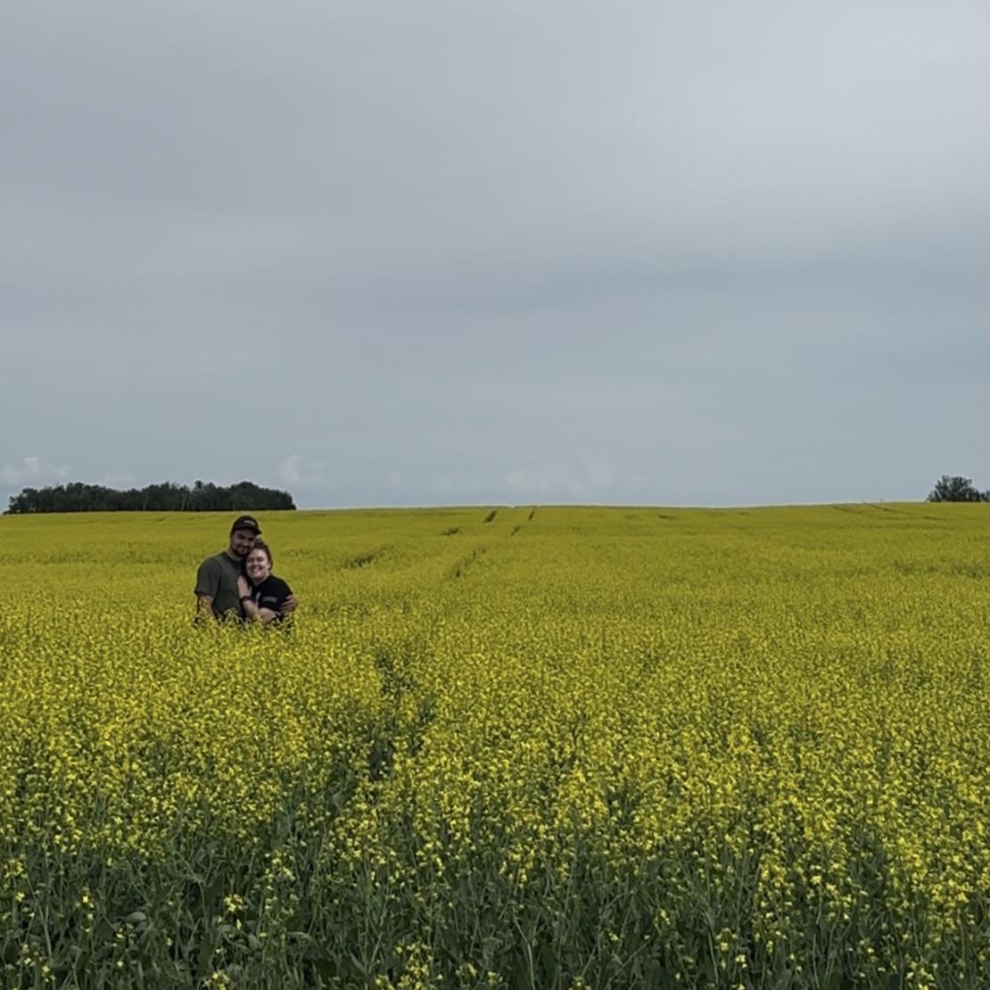 Brock's canola field. July 2024