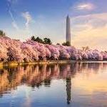 National Mall & Tidal Basin