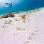 June 19 Sail to Norman Island on a Catamaram or Power Boat