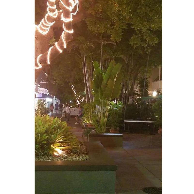 The spot in Key West where Chad proposed.