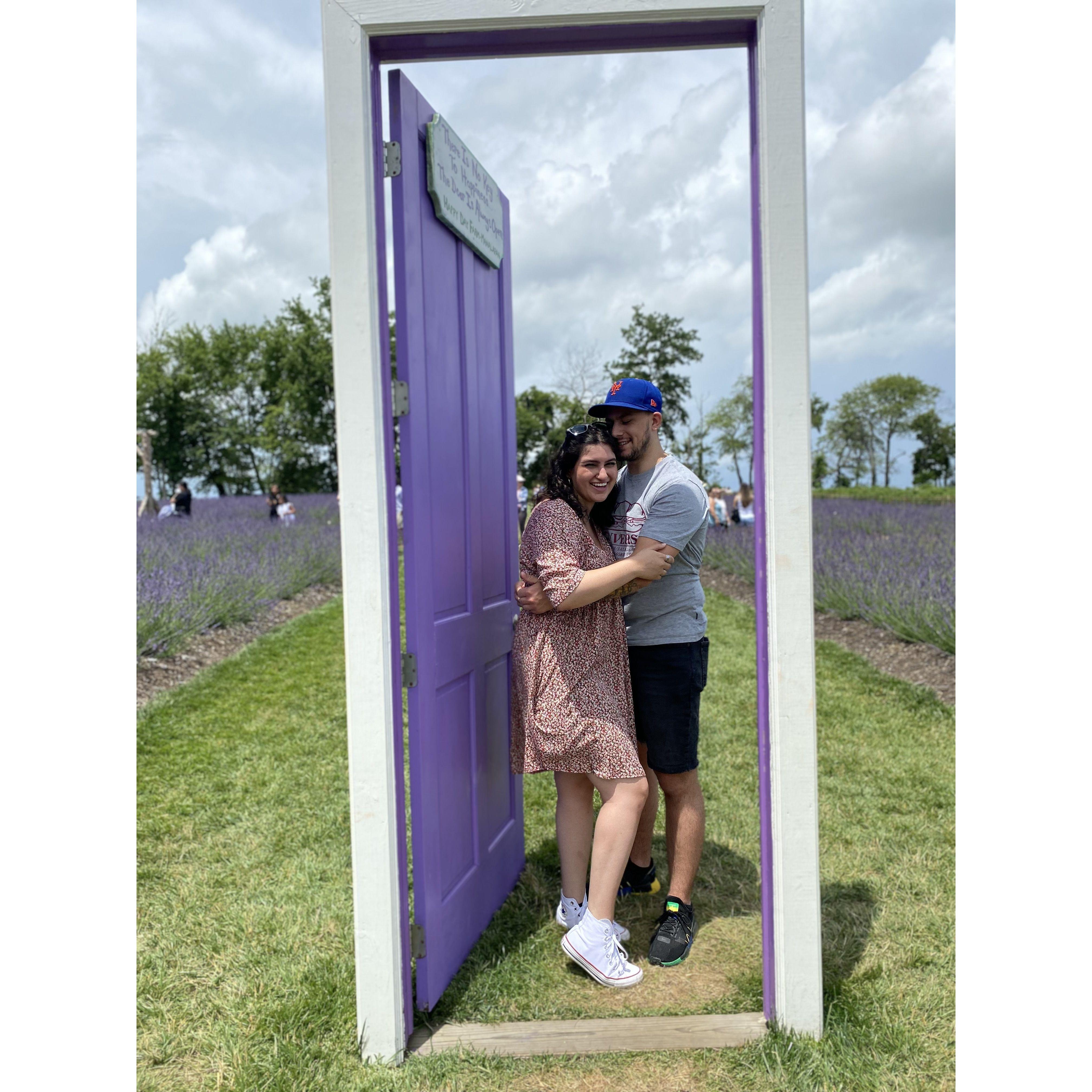 A trip to the lavender field