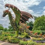 Atlanta Botanical Garden