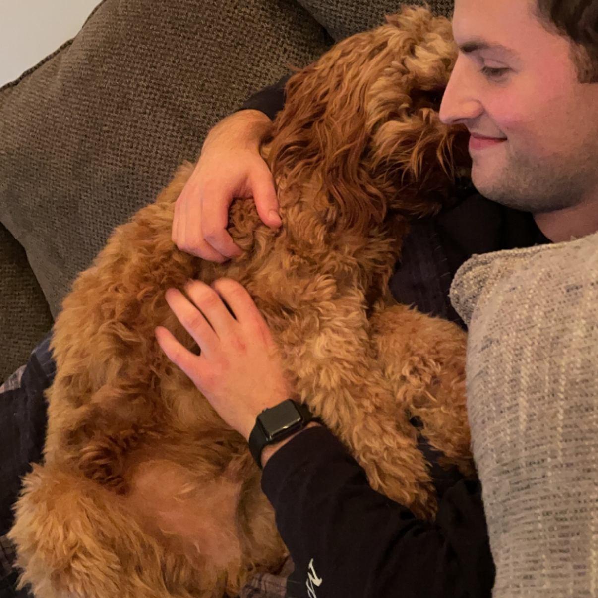 A typical relaxing night with Jameson cuddles! 