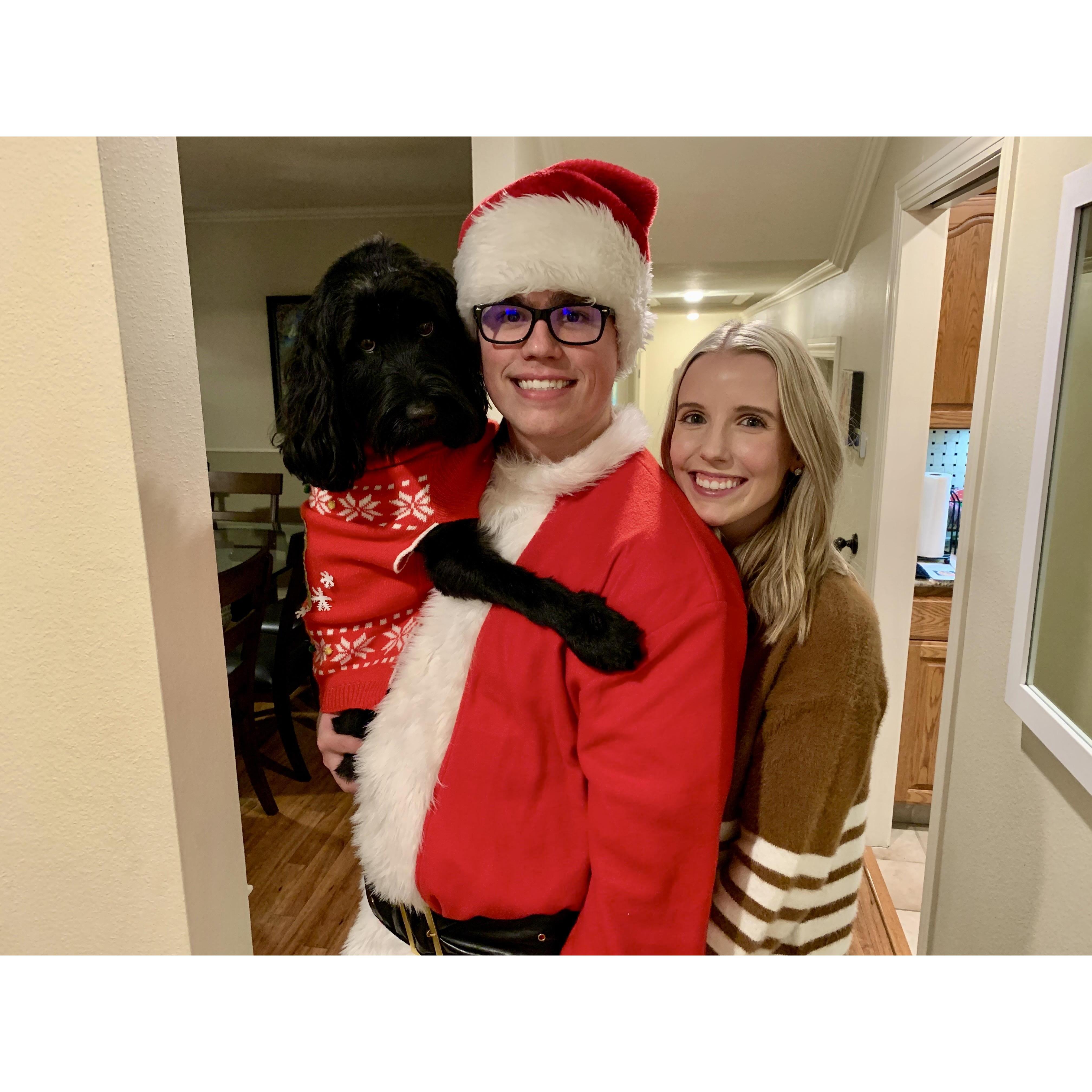 Christmas with our sweet Meadow Doodle