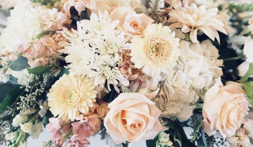 The Wedding Website of Shannon Bauer and Sean Lewis