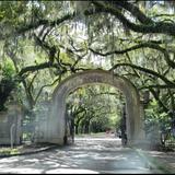 Wormsloe State Historic Site