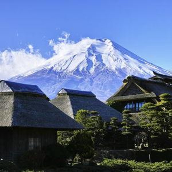 Day Trip to Mt Fuji and Hakone