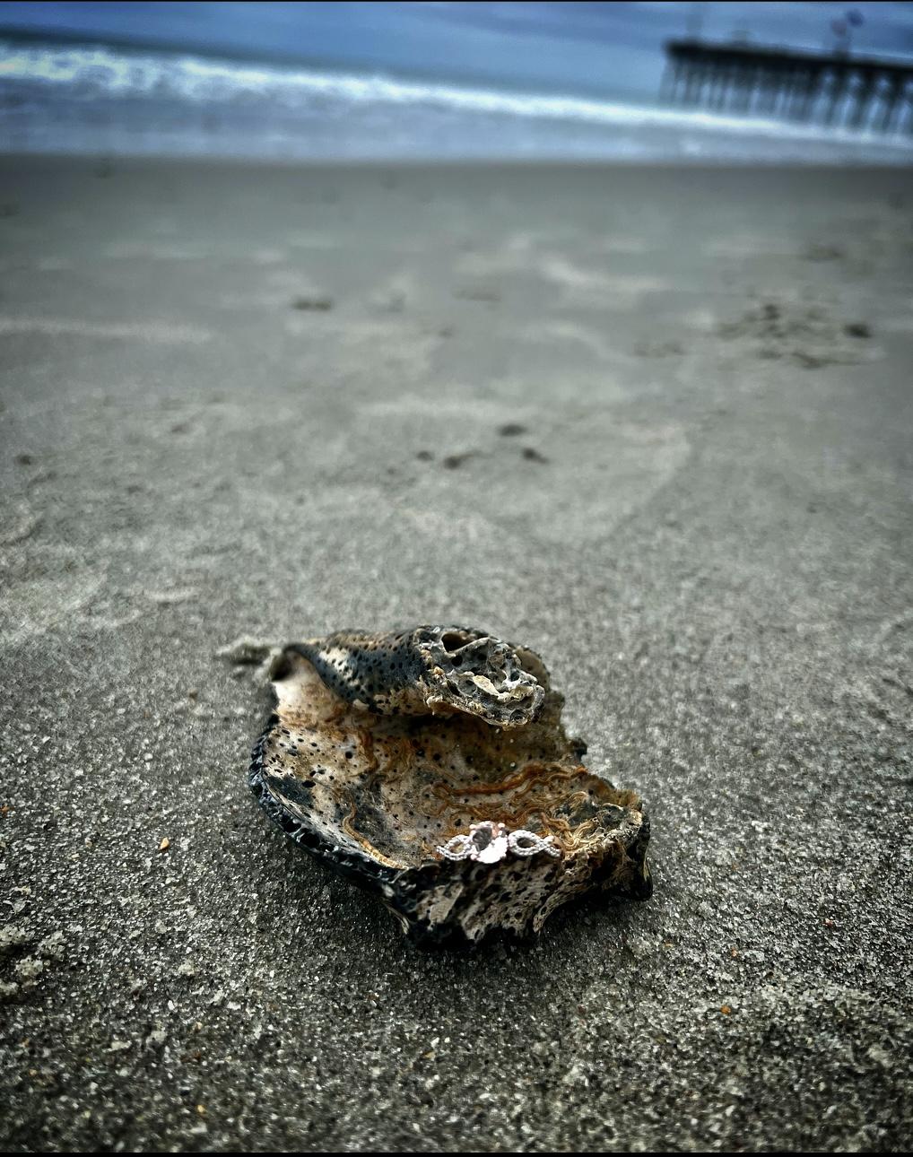 The Wedding Website of Mariana Almeida and Kyle Aldinger