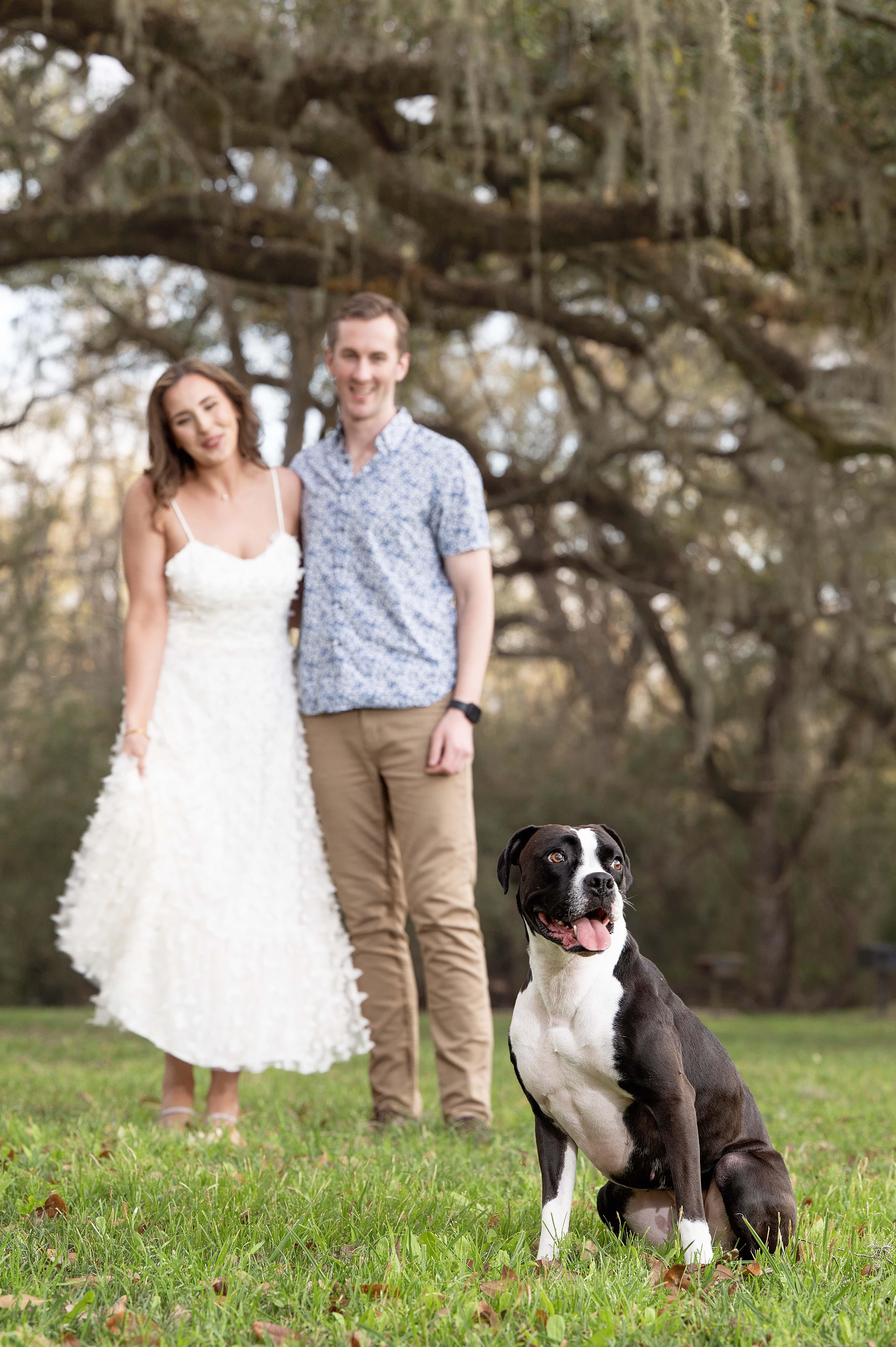 The Wedding Website of Taylor Cockerill and Kevin Holmes