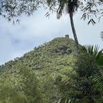 El Yunque National Forest - Mount Britton Tower Trail
