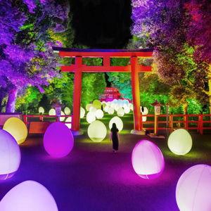 Honeymoon - teamLab Biovortex Kyoto Tickets