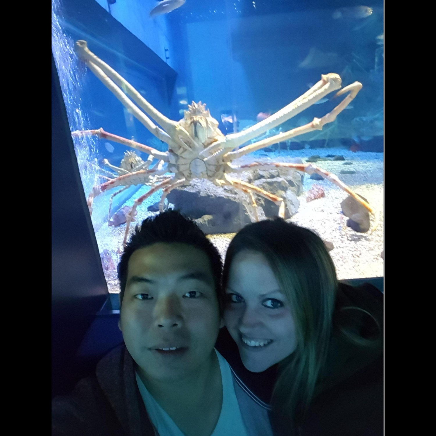 Kaiyukan Aquarium, Osaka Japan