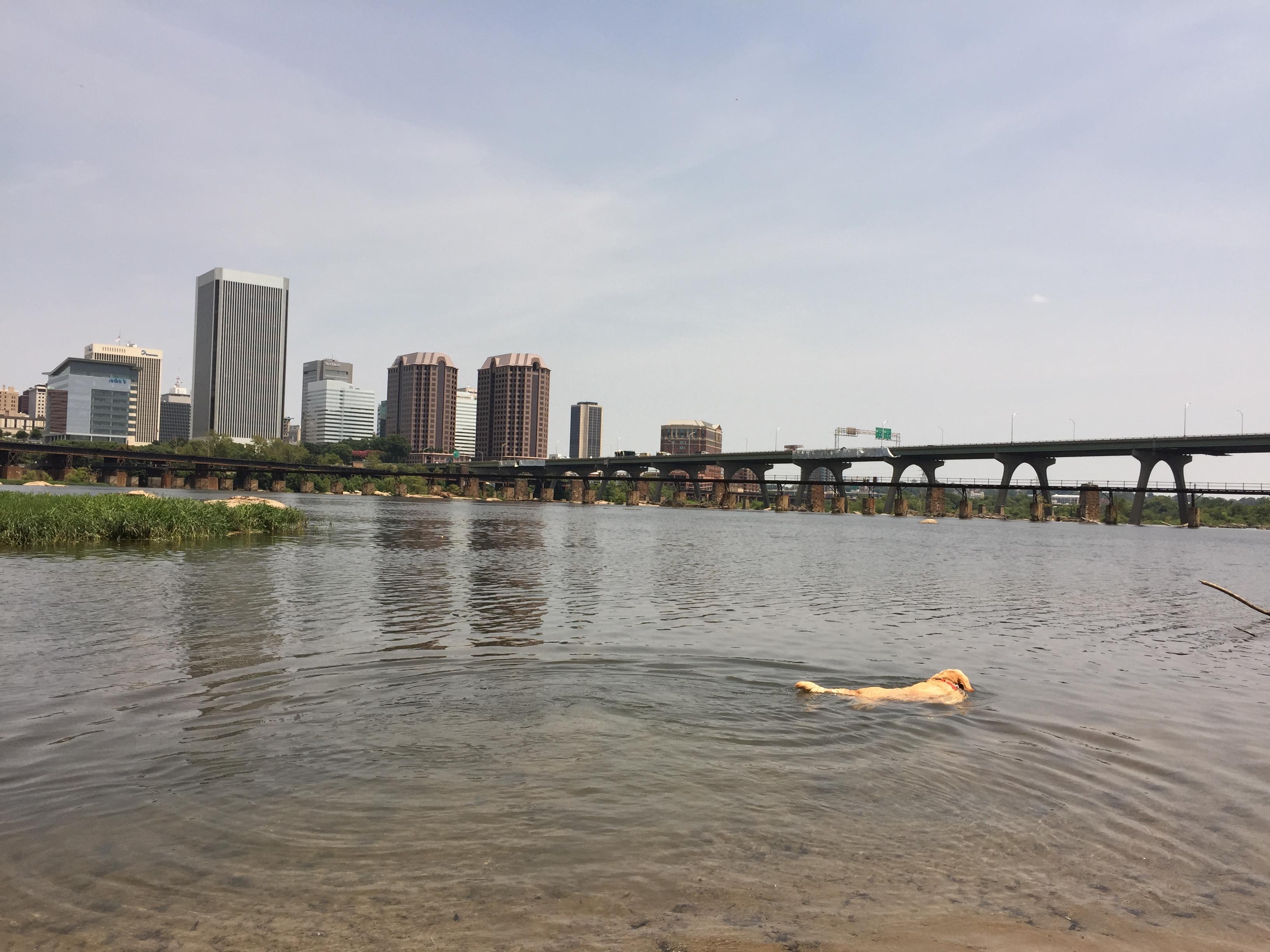 The Wedding Website of Lauren Todd and John Murphy