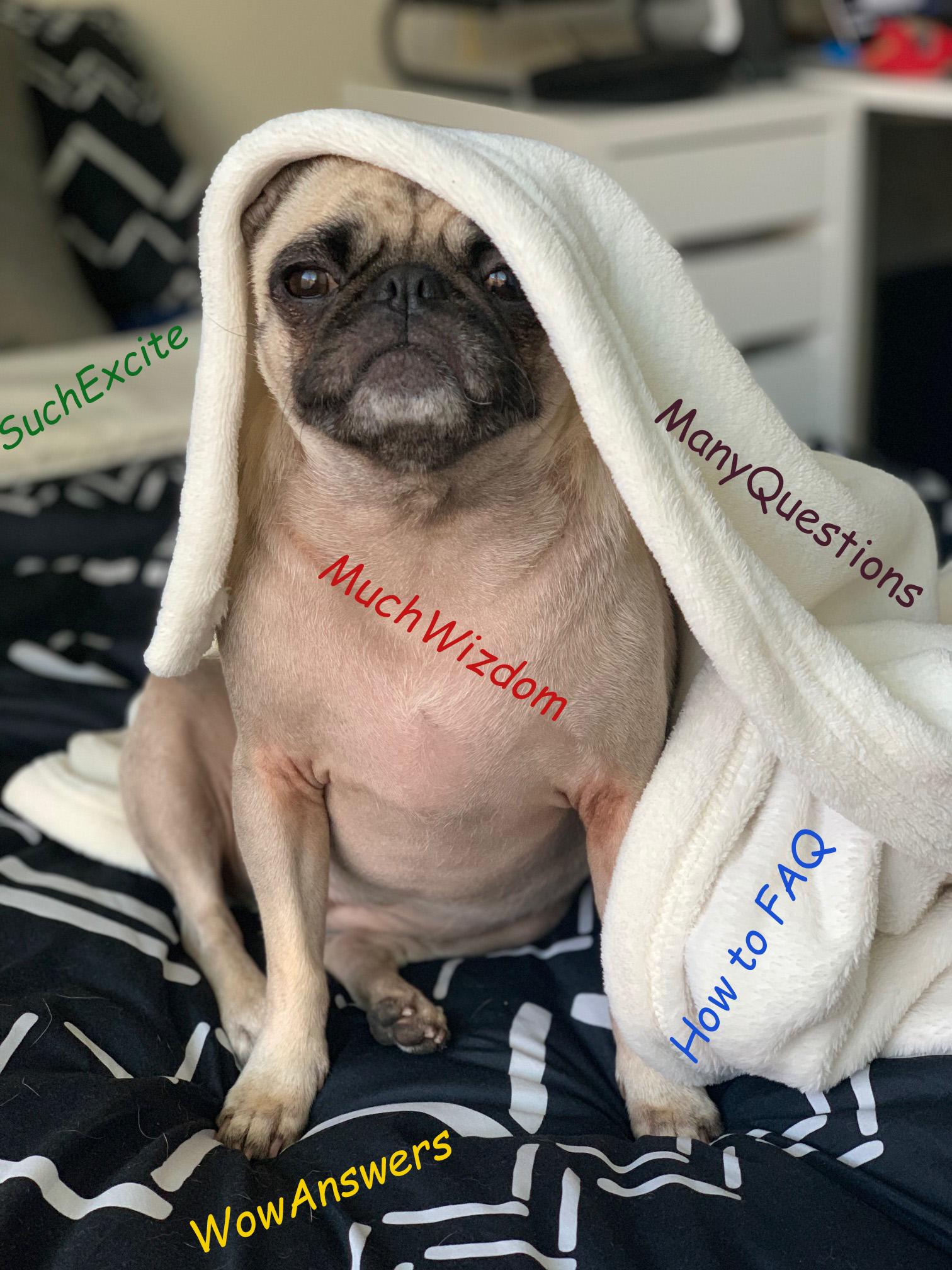 The Wedding Website of Brayra Lara and Patrick Podeyn