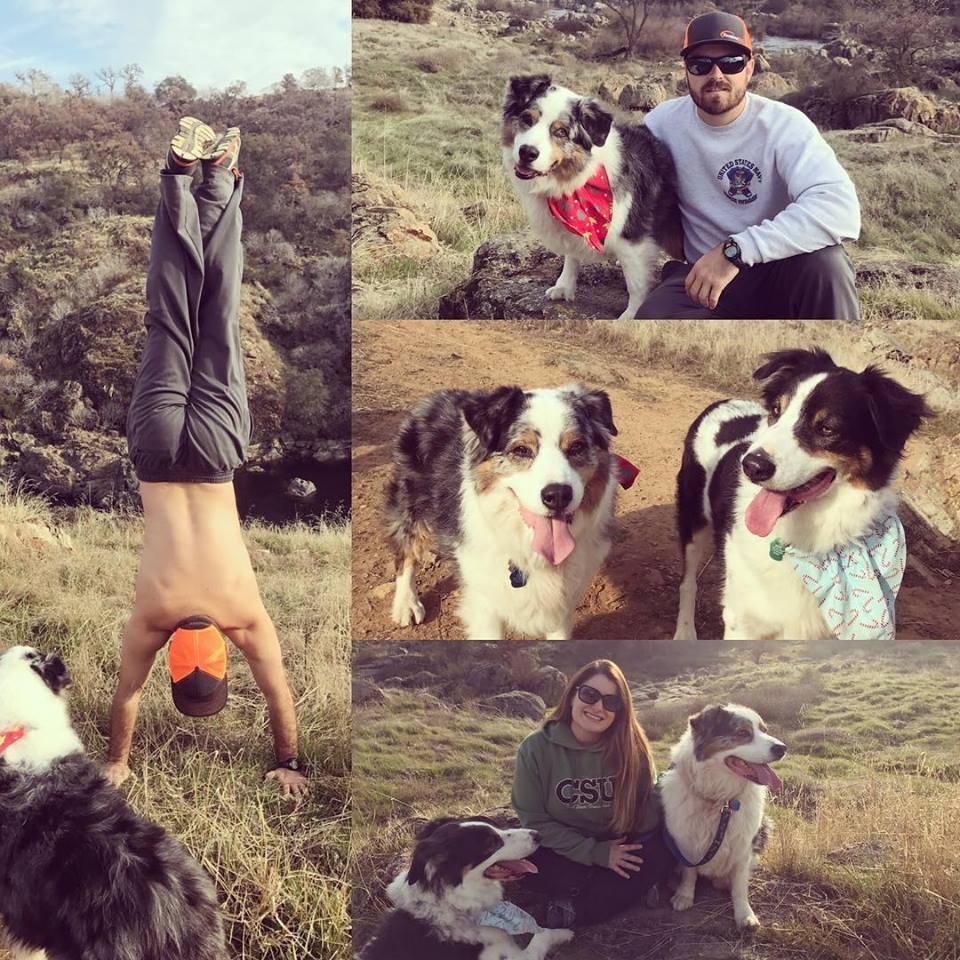 Hiking adventure with the dogs!