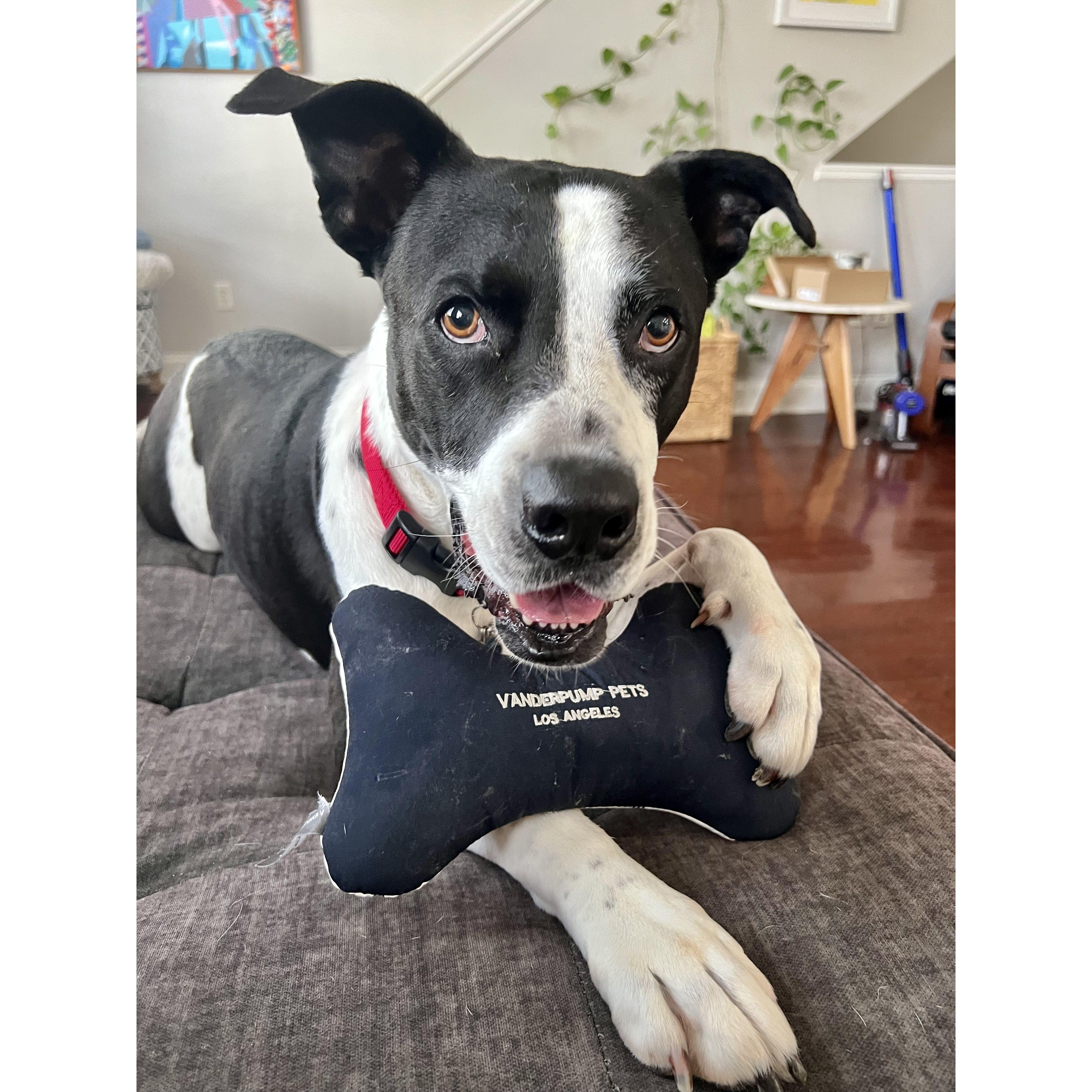 Our true love, Jackson!