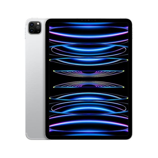 Apple 2022 iPad Pro (11-inch, Wi-Fi, 256GB) - Silver (Renewed Premium)