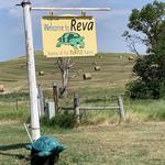 Reva Store