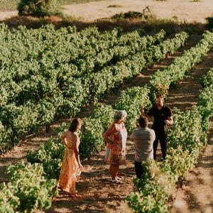 Milos Island Tour and Wine Tasting for Two