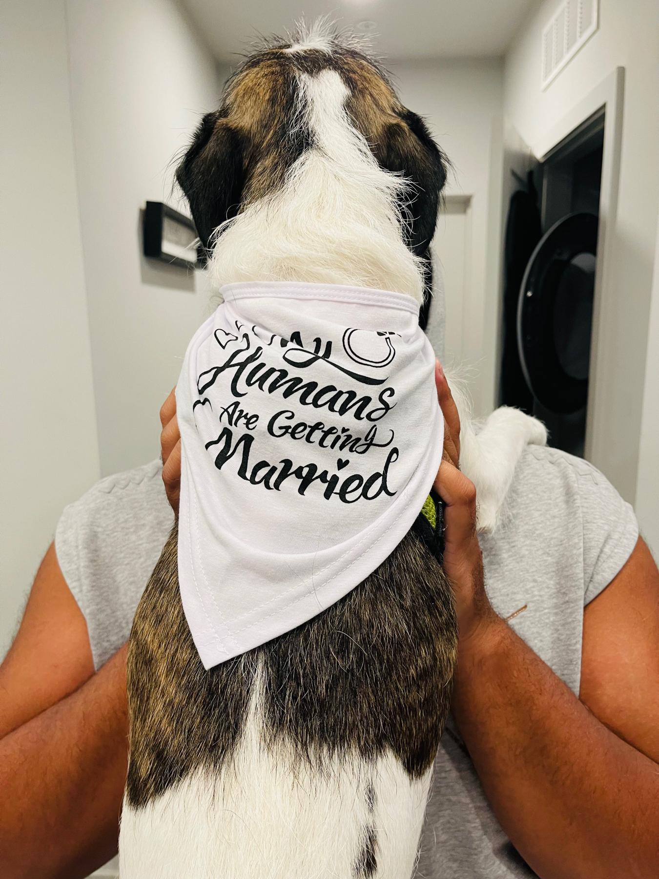 The real beauty of the family