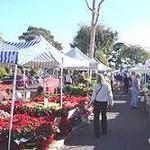 Santa Barbara Farmers Market // Friday