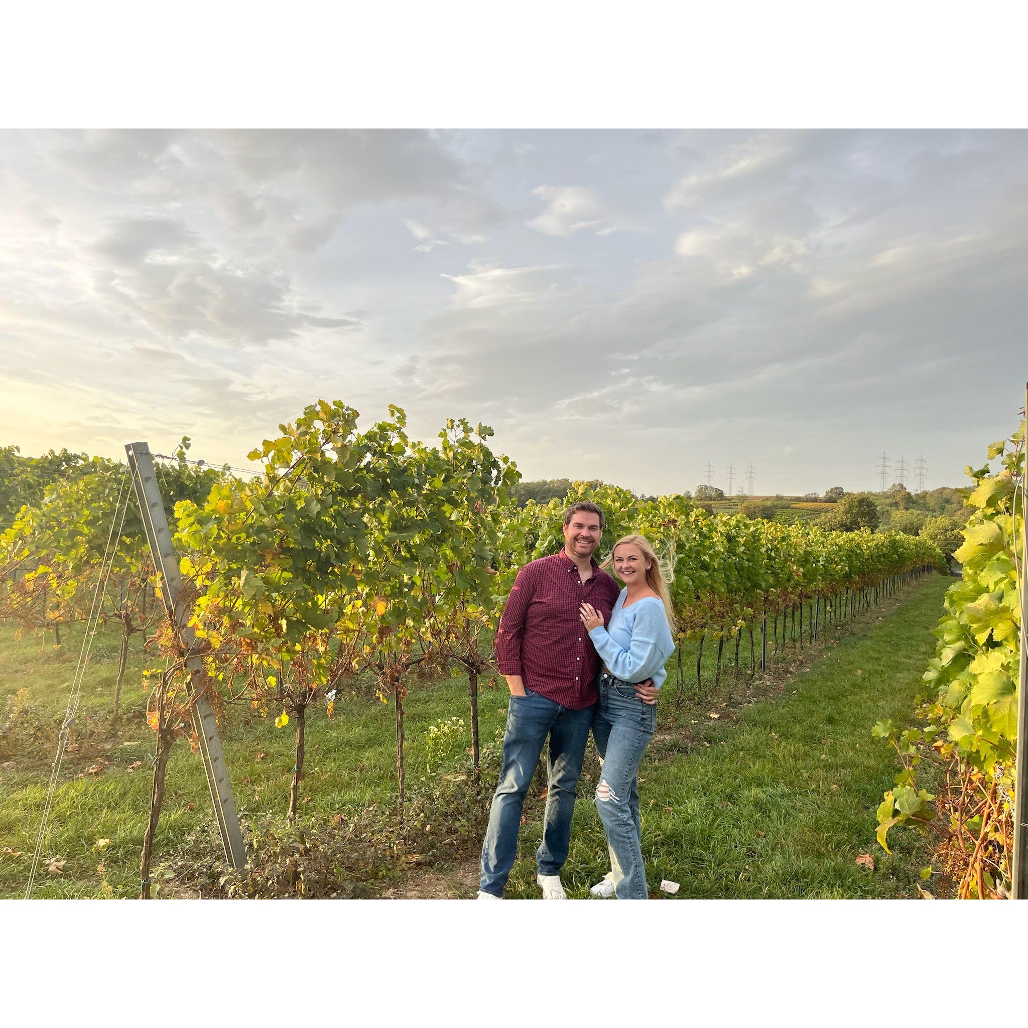 Wine tour in Austria during our vacation to Brussels, Vienna, and Munich