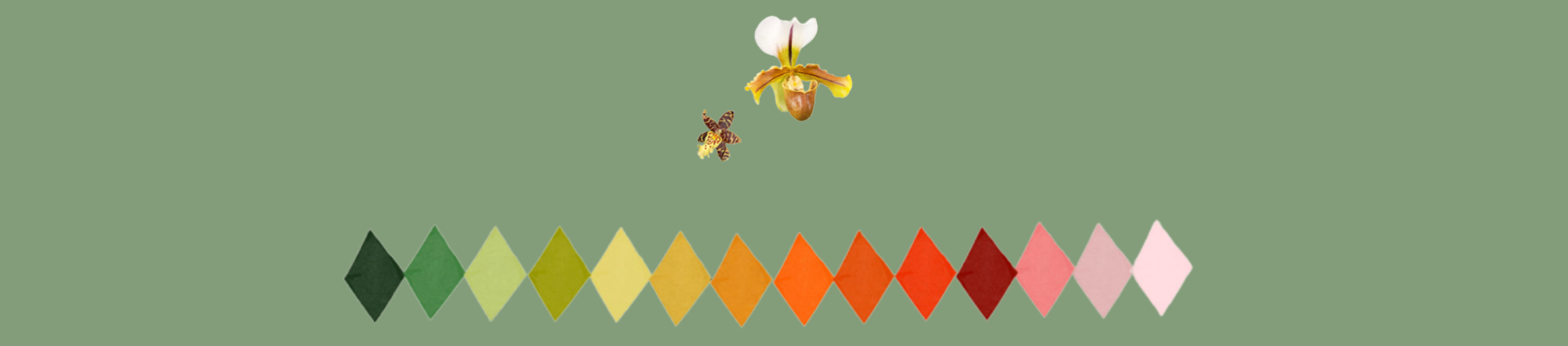 The Wedding Website of Alexa Botha and Jay Stephens