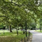 McCarren Park
