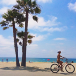 Marvin Braude Bike Path