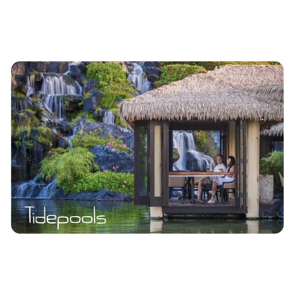 Hyatt Gift Card (dinner on our honeymoon)