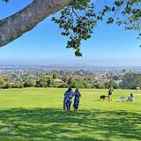 Hang Out at Kate Sessions Memorial Park