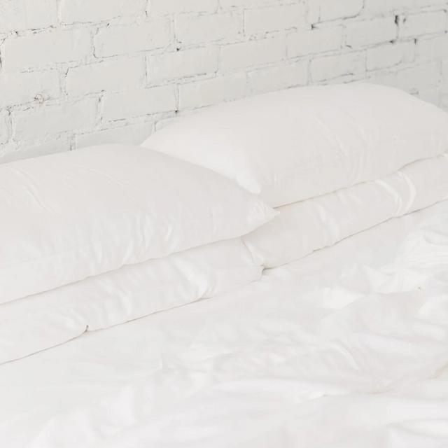 Cozy Earth Silk Pillows