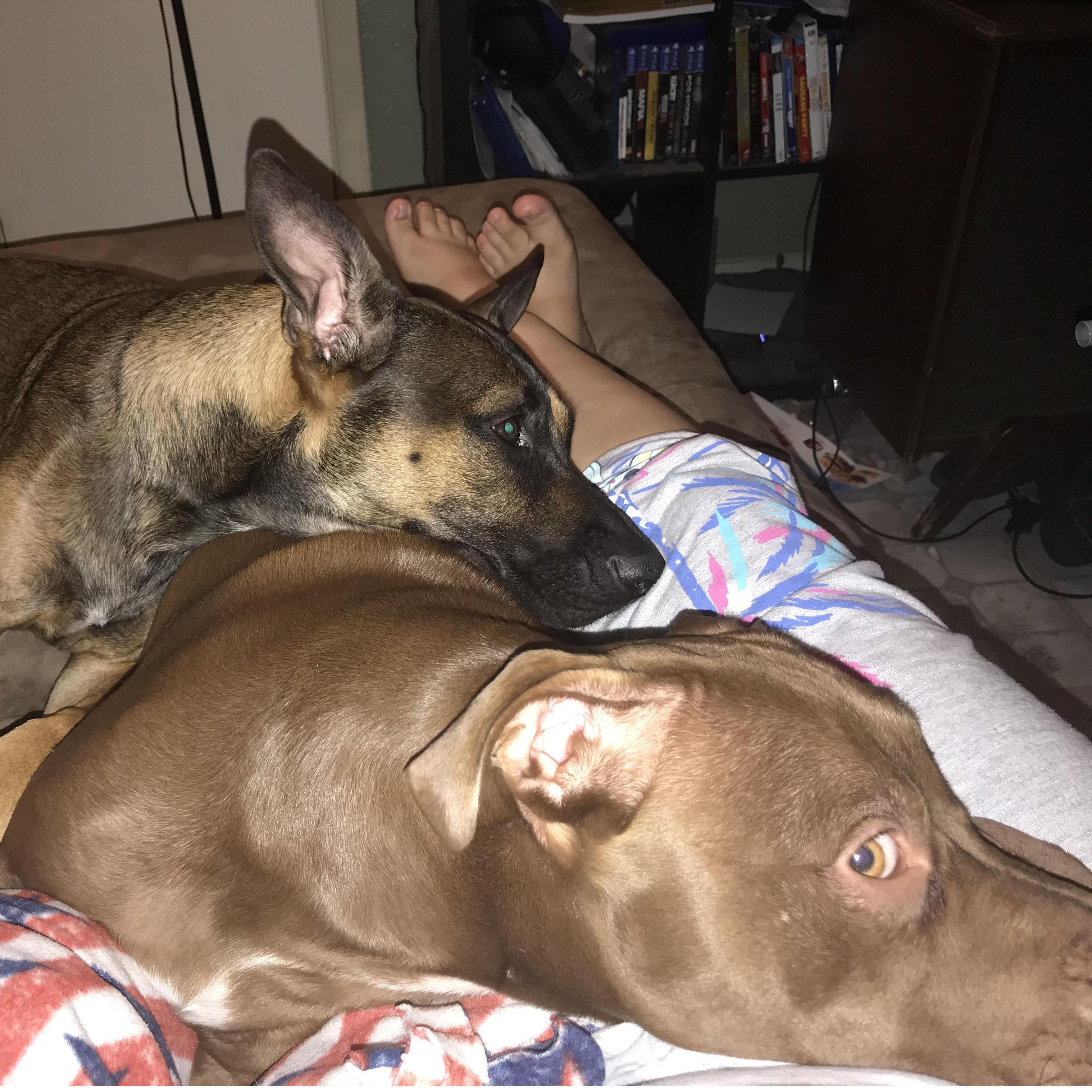 Nala & Crash