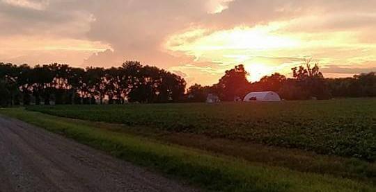 The Wedding Website of Kacey Saure and John Nyland