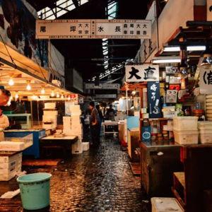 Tsukiji Fish Market Tour
