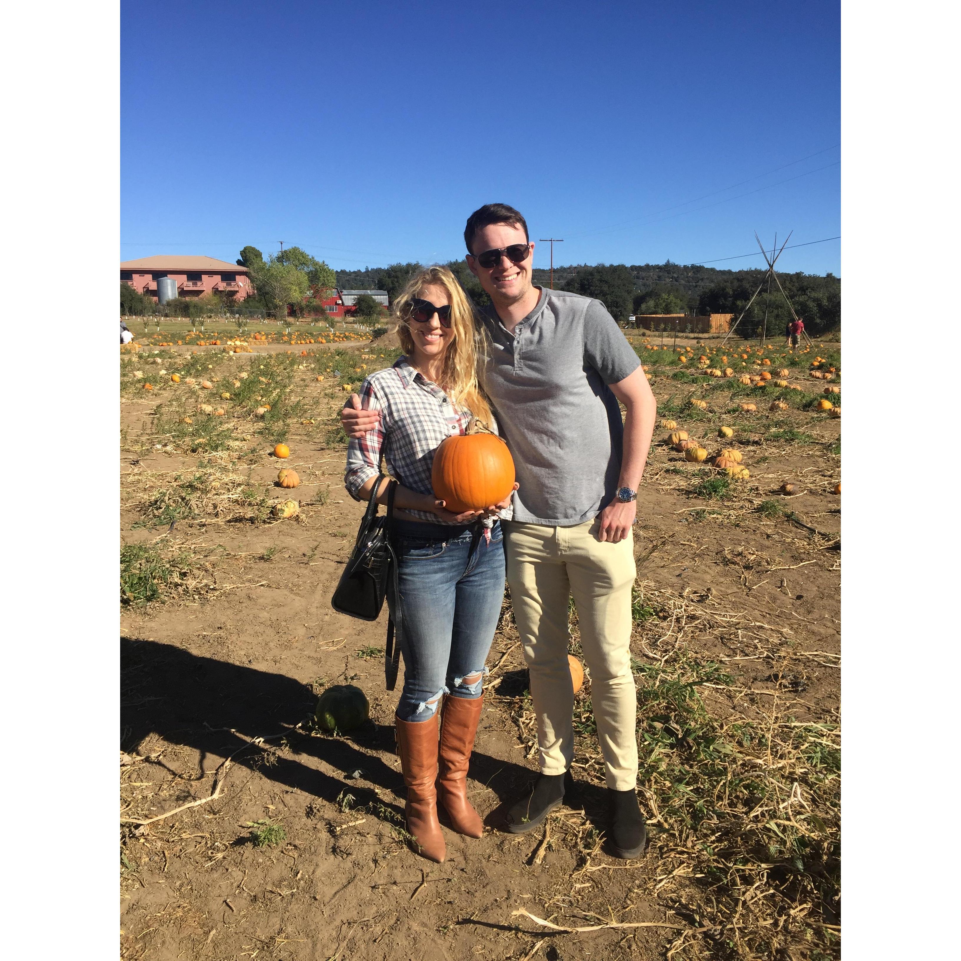 Pumpkin Patch 2017