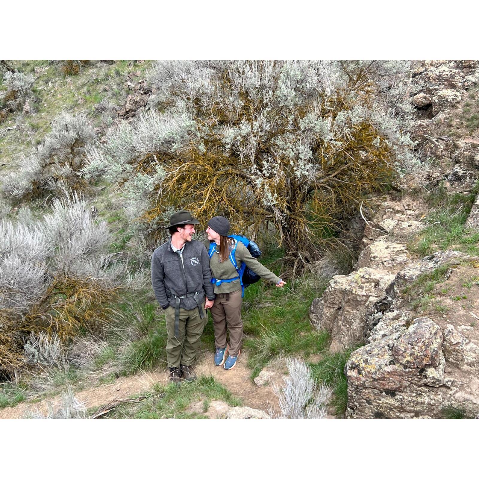 Sandhill Crane Festival, spring of 2024 (its the bird kind of crane, not the construction kind)