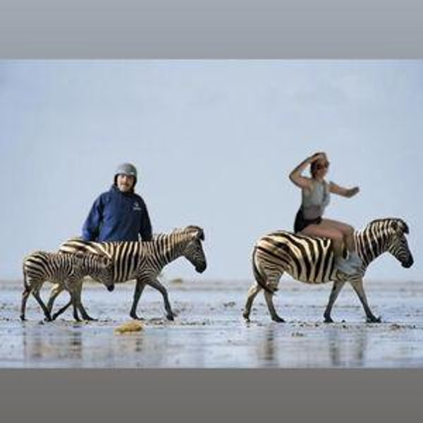 African Safari Honeymoon for Two!