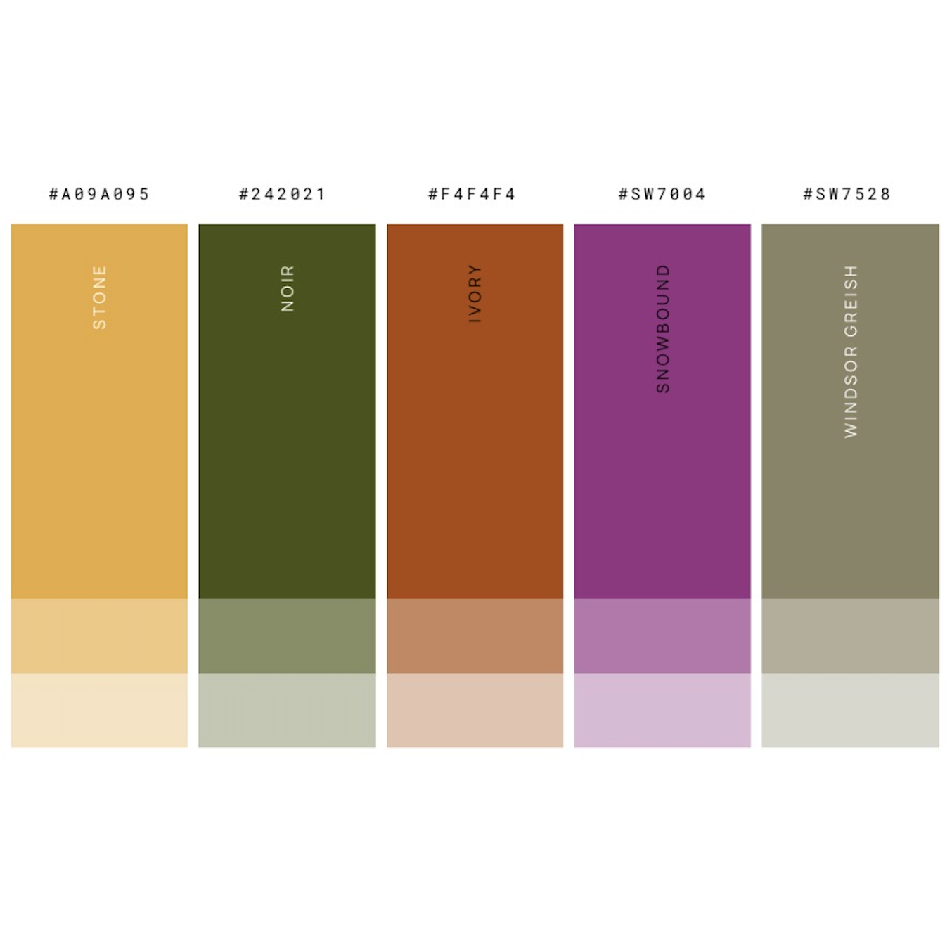 Women's Color Palette