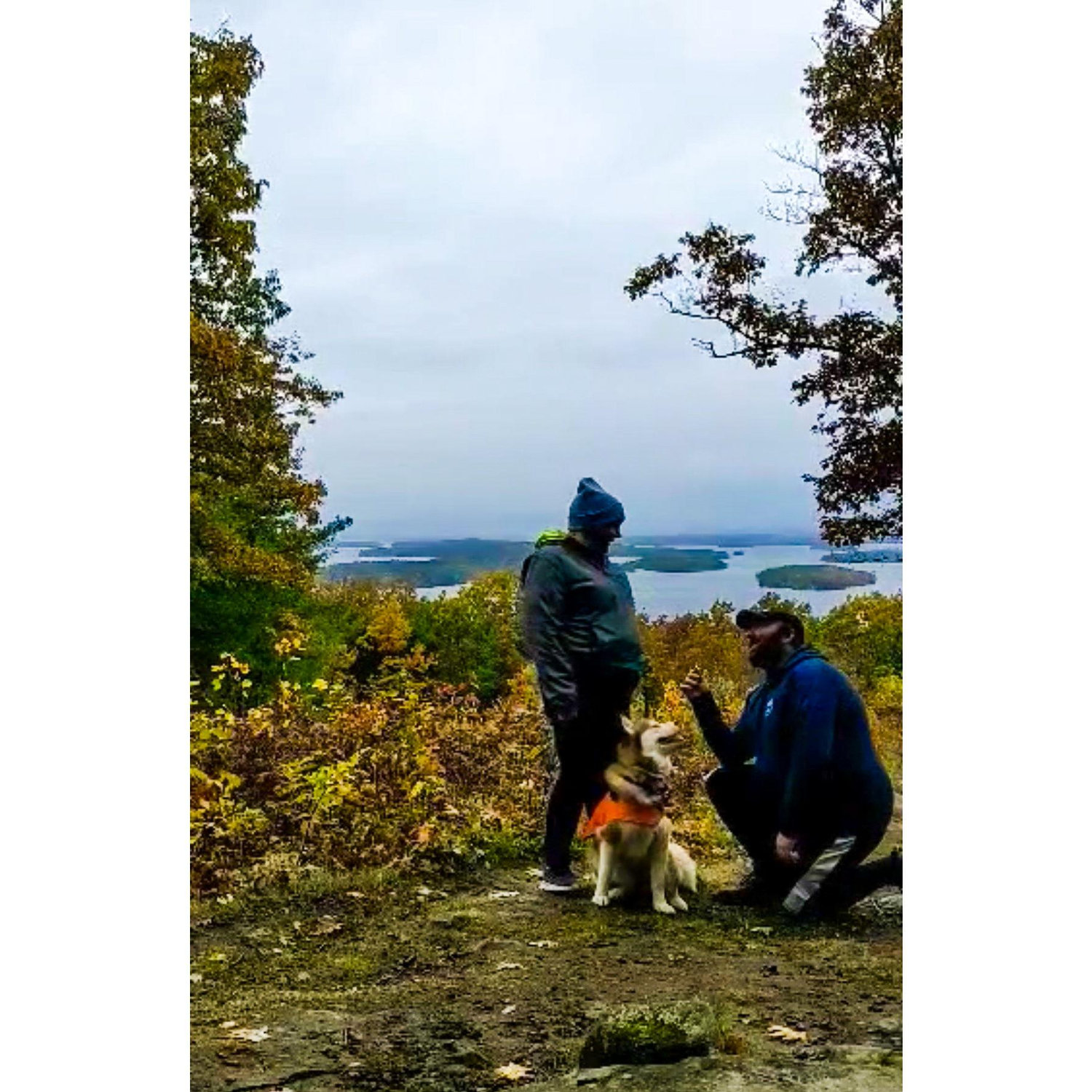 Proposal