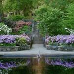 Winterthur Museum, Garden and Library