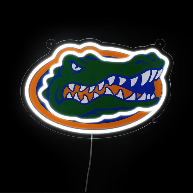 Saturday Neon Officially Licensed NCAA Florida Gators LED Neon Light Up Sign, 15" - Perfect for Fans and Alumni