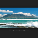 Table Mountain (Nature Reserve)