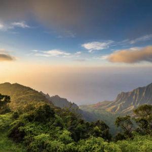 Honeymoon to Japan & Hawaii