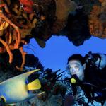 Discover Scuba Diving