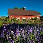 Denver Botanic Garden Chatfield Farms