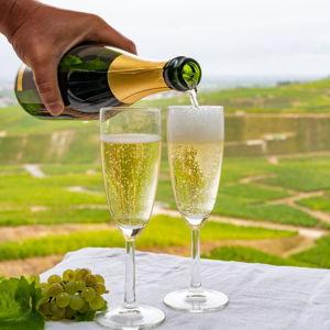 Champagne in the Champagne Region of France